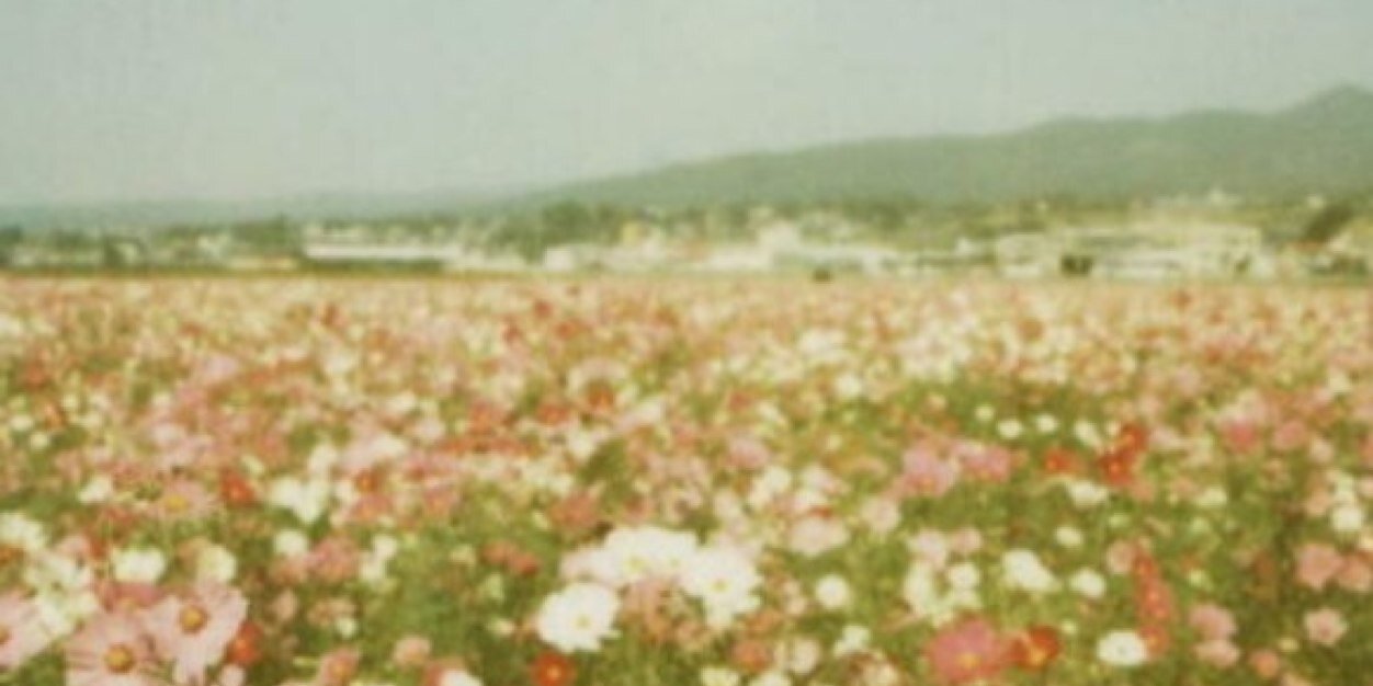 _lustandfound_'s profile banner image