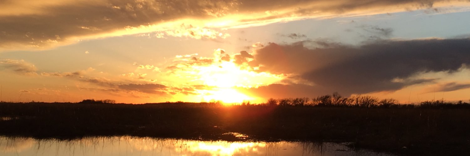 millerdeb11's profile banner image