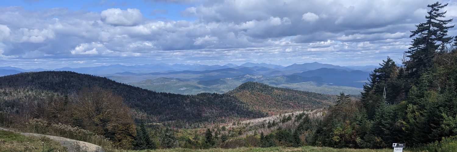 Tamiko Toland banner
