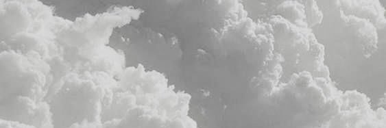 ChensaurioRex's profile banner image