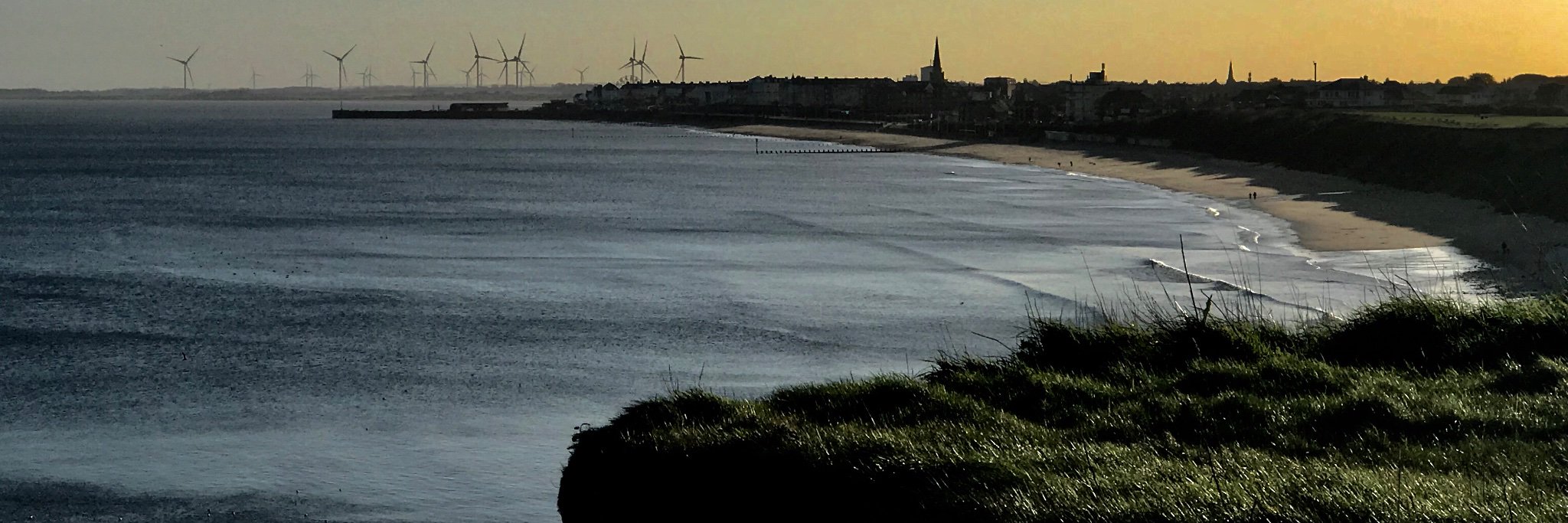 Bailey Chapman banner