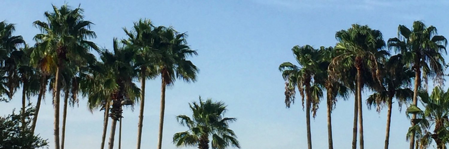 laur654's profile banner image