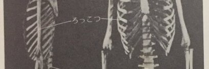 unapochi15's profile banner image