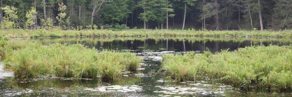 pondscience Profile Banner