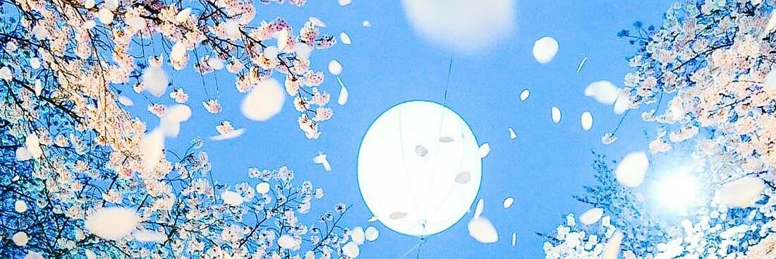 KimLunnapark's profile banner image