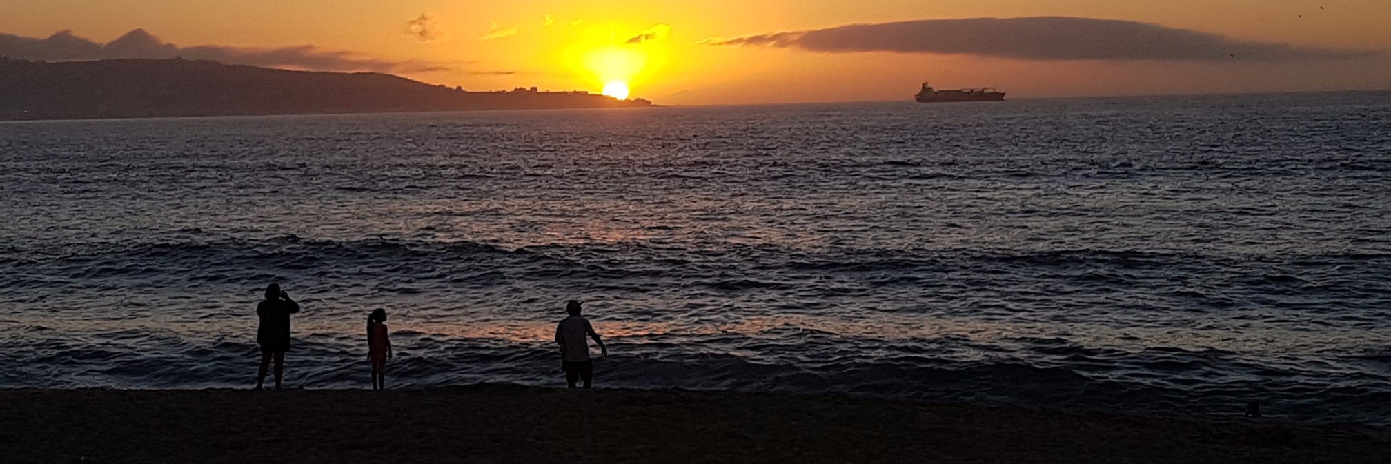 vintdanni's profile banner image