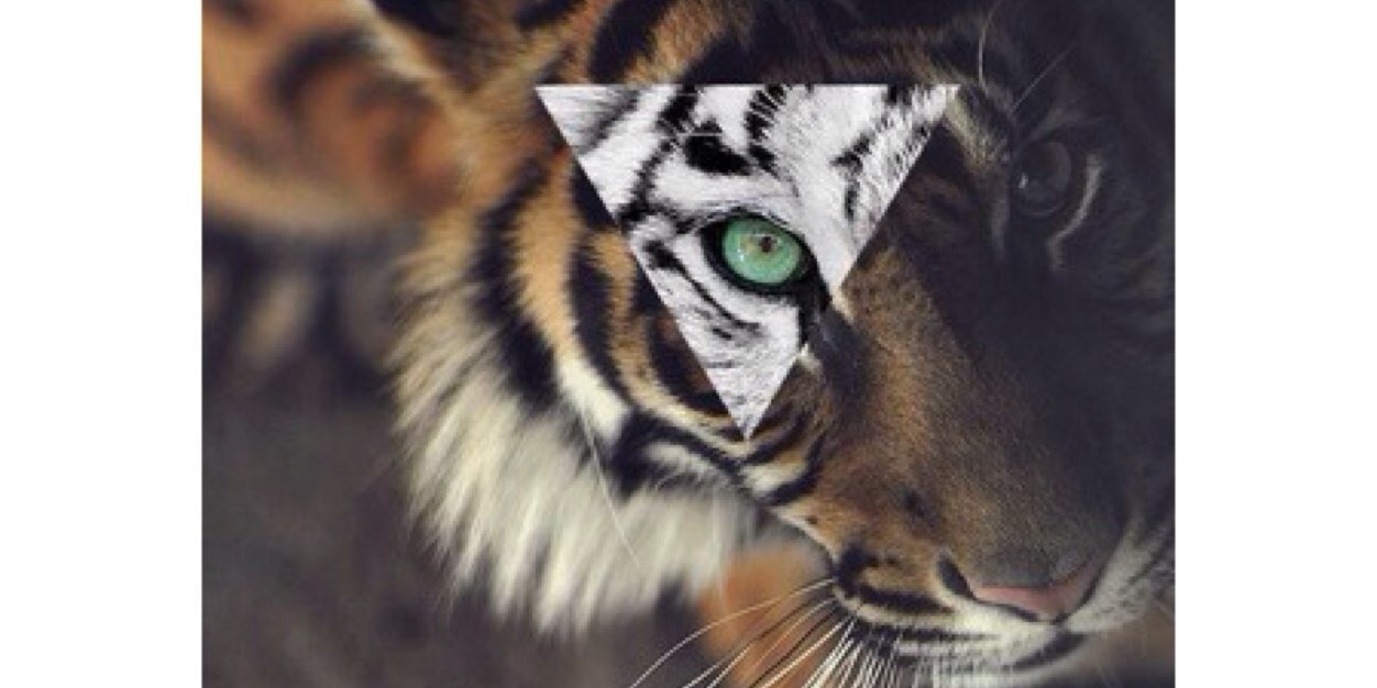 RafaelFelly's profile banner image