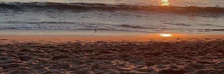 bgbellatrix's profile banner image