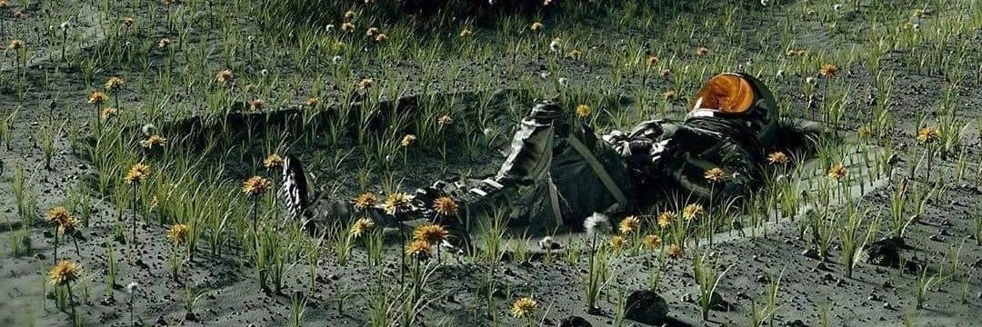 davi_falls's profile banner image