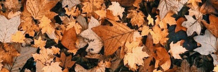 KassiNicholson's profile banner image