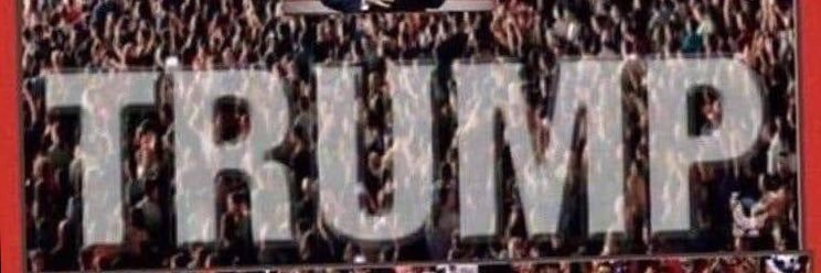 Sherry Wall banner