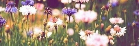 ashlbechtel's profile banner image