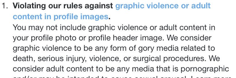 AltHomelandSecurity🇺🇸 banner