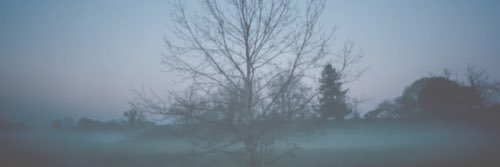 FinlandGxrl's profile banner image