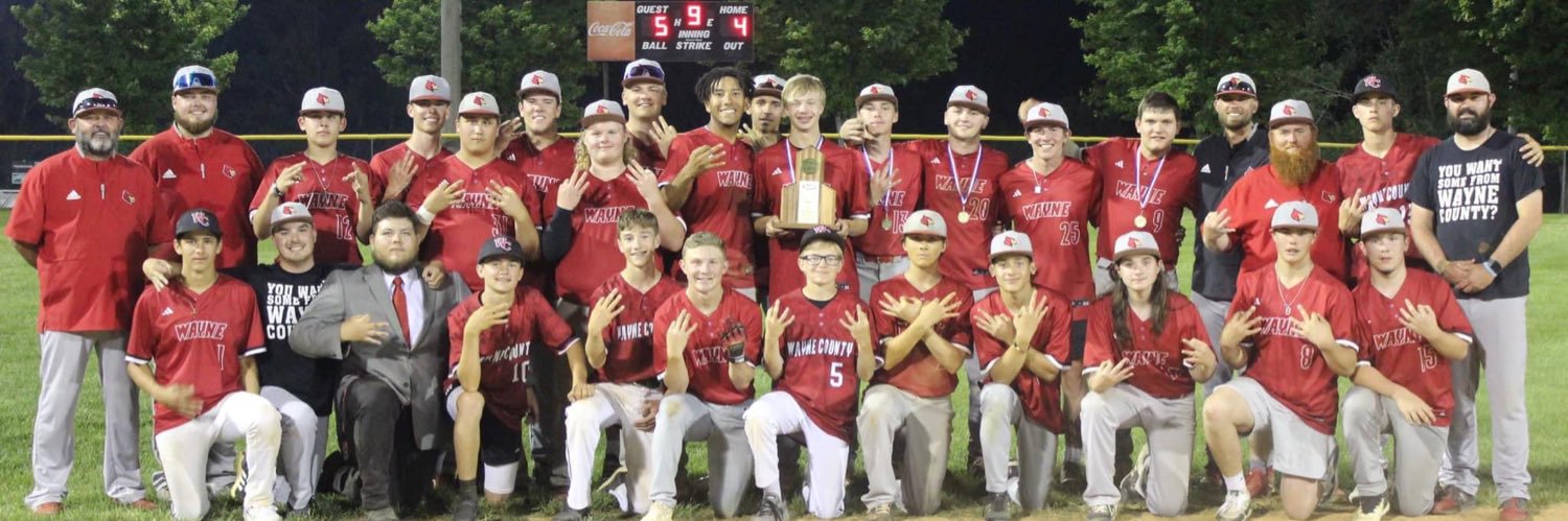Wayne Co. Baseball banner