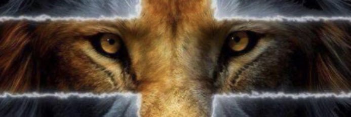 PEY10🤧♨️ banner