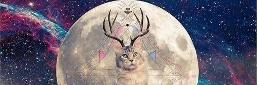 jhardacre2's profile banner image