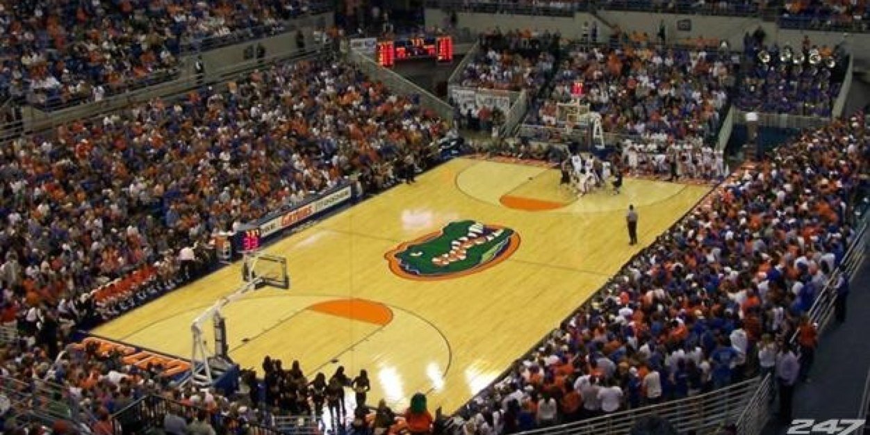 gatorstructor's profile banner image