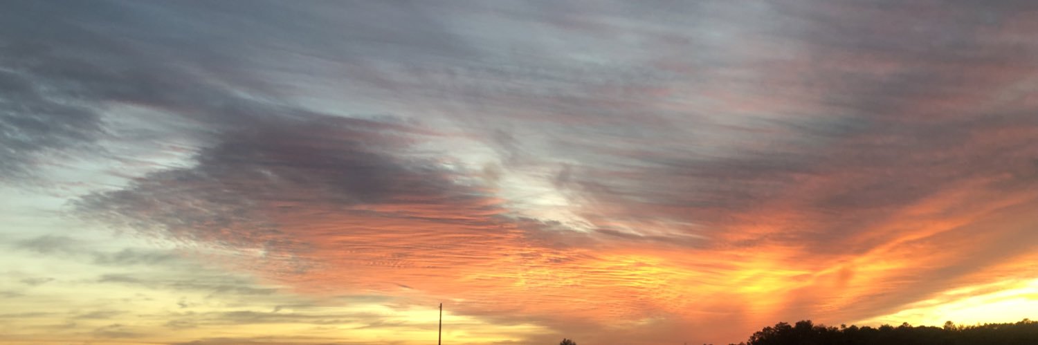 Goodenoughing banner