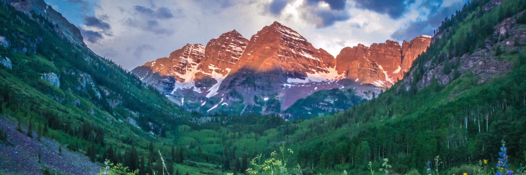 Science Over Fear banner