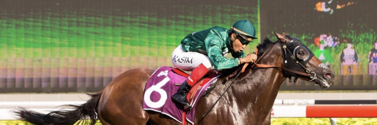 HarryKasim's profile banner image