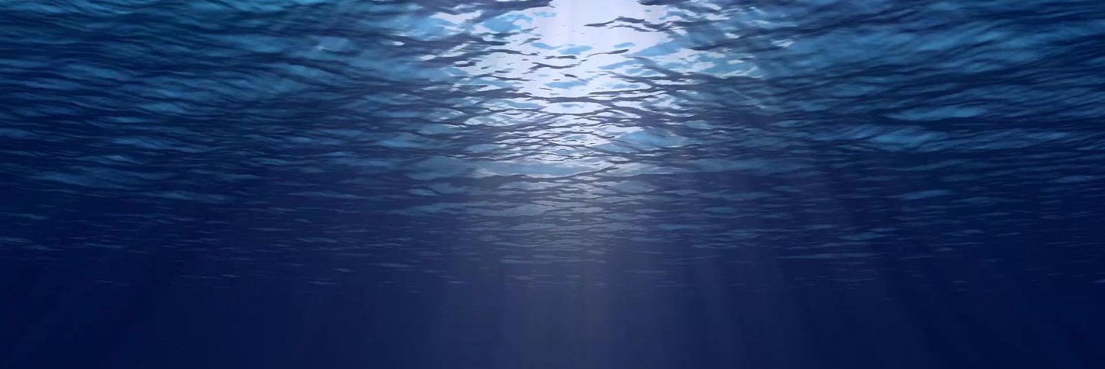 SewellSwimmers's profile banner image