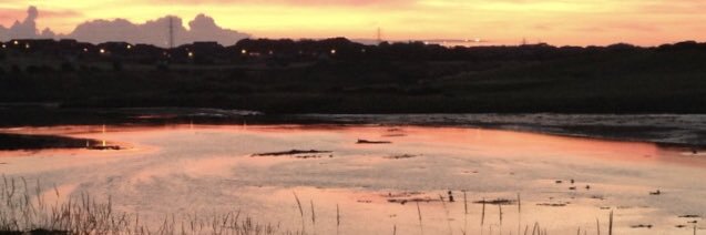 seaviewPD's profile banner image
