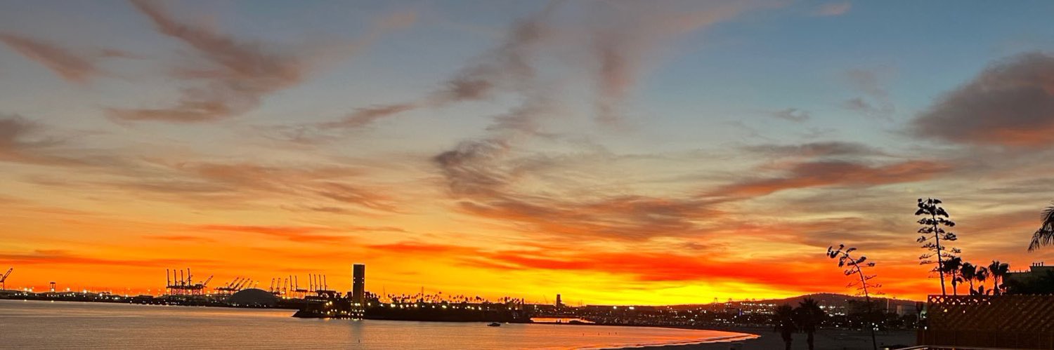 G.Vaughn Forsyth banner