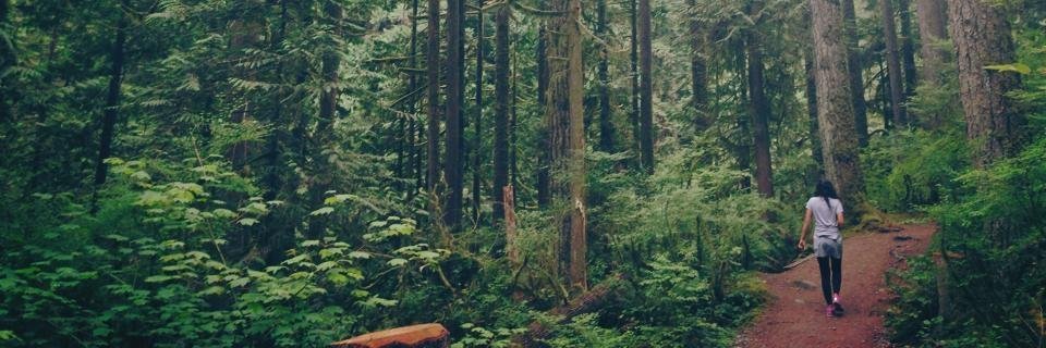 dyadigs's profile banner image