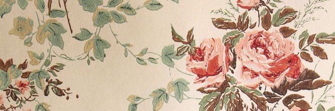 iaraguidi's profile banner image