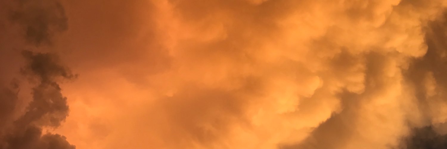 NCKDMS's profile banner image