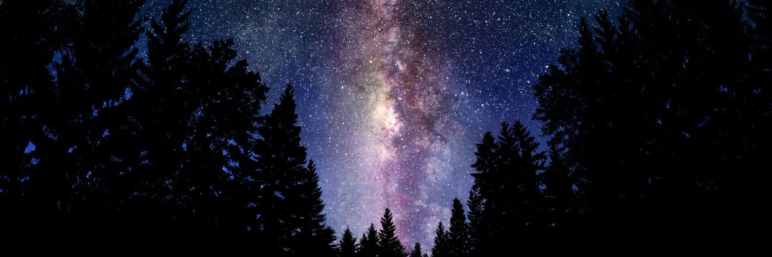 itstinyrickk's profile banner image