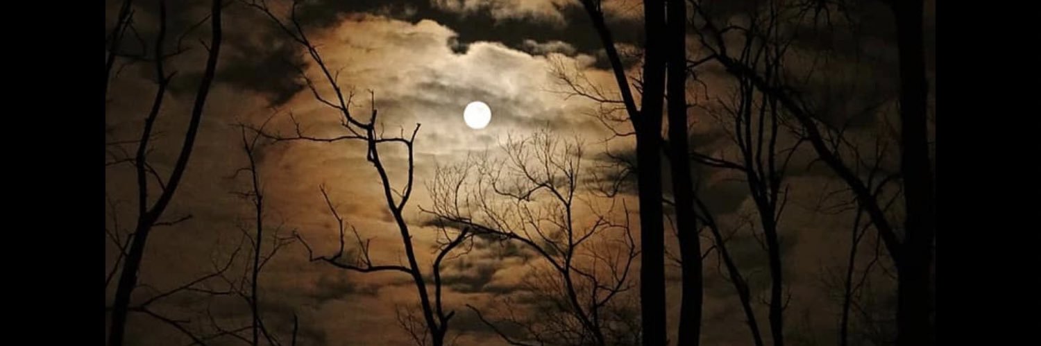 Night Shift MD banner