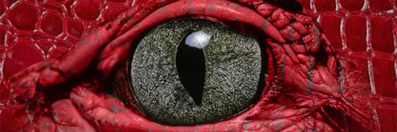 GatorDaGoat's profile banner image