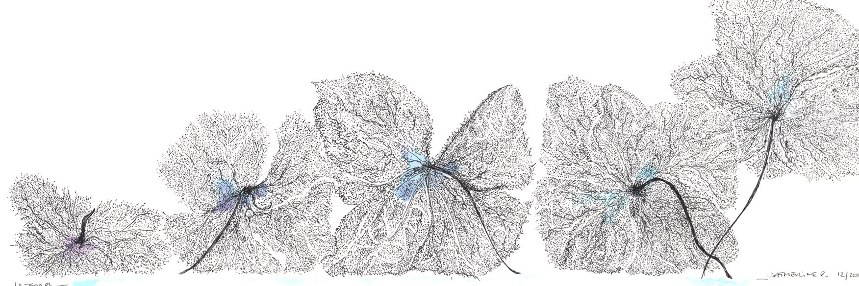 cpartlife's profile banner image