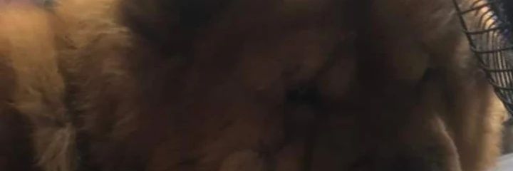 DnsstlsStyles's profile banner image