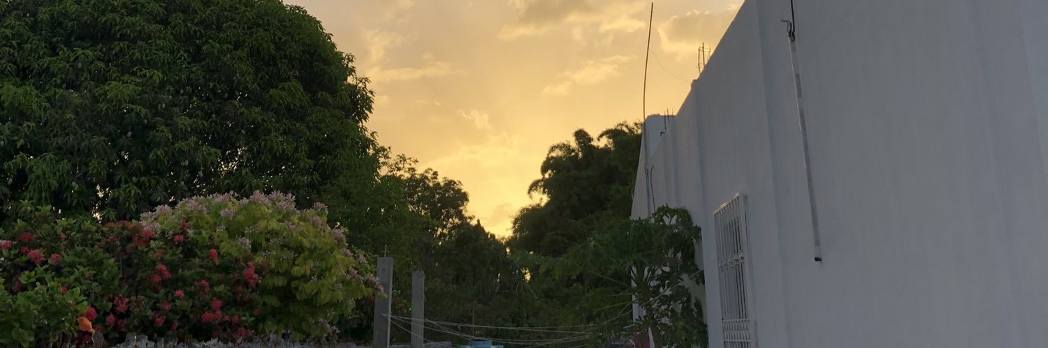 grisellvc's profile banner image