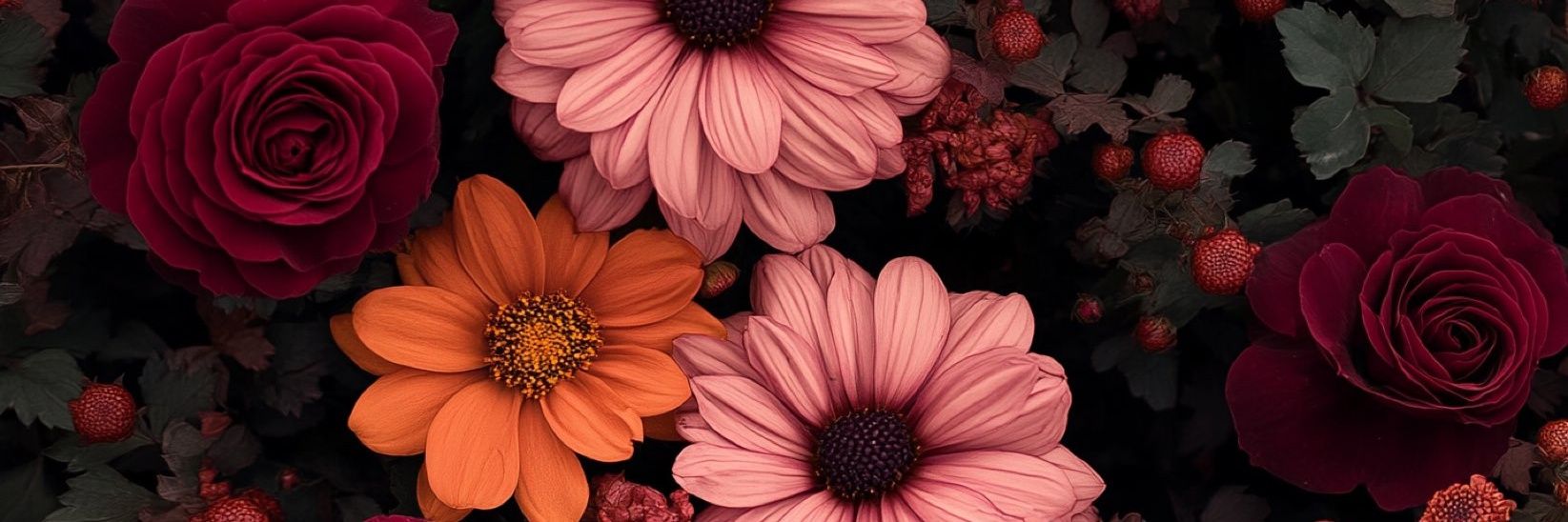 Anyta_Js's profile banner image