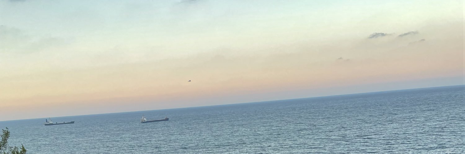 janisdomenica's profile banner image