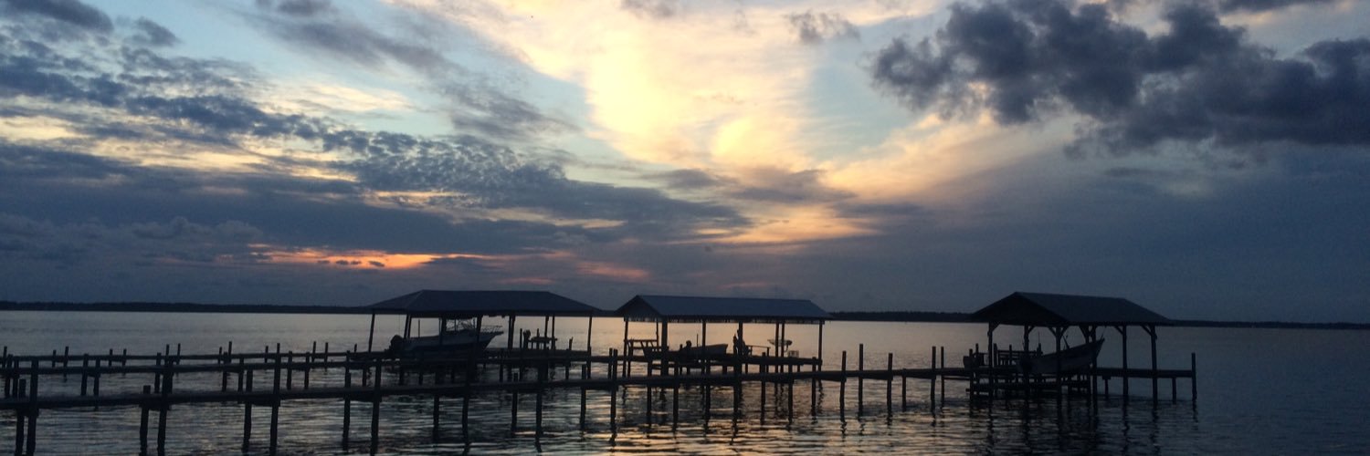 Kelley Bricker banner