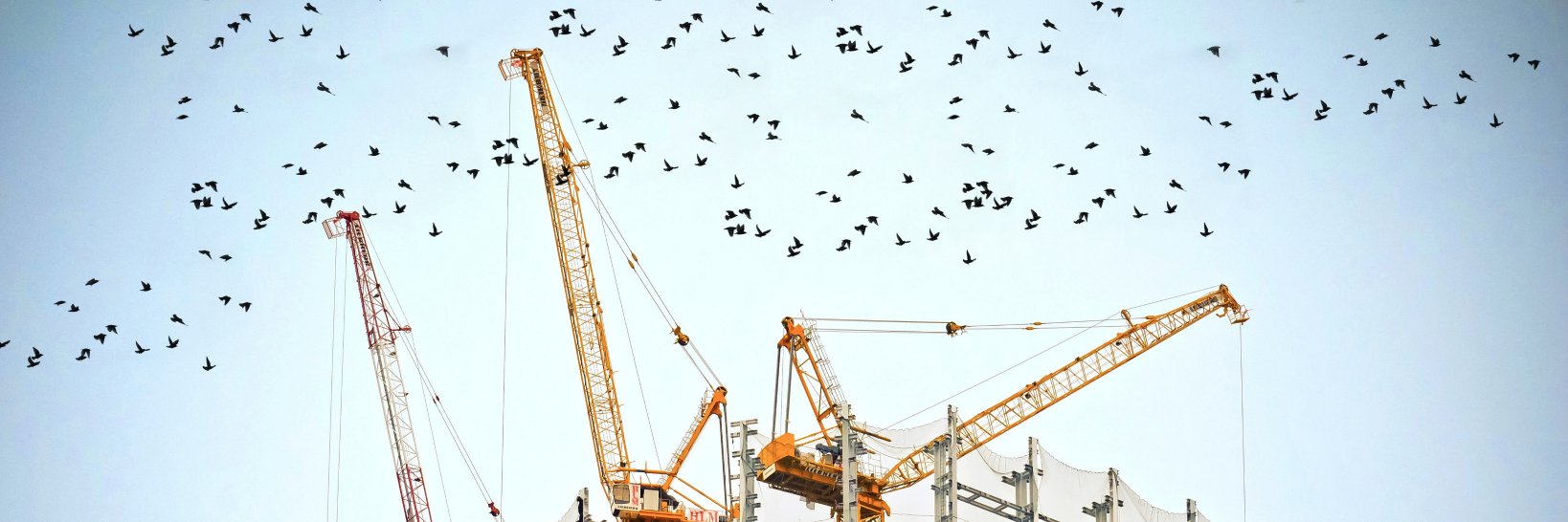 Björn Müller banner