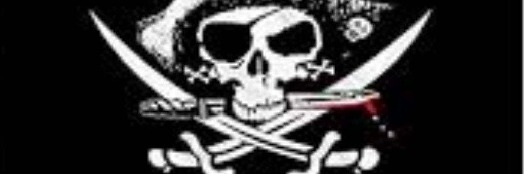 Silvermadcat's profile banner image