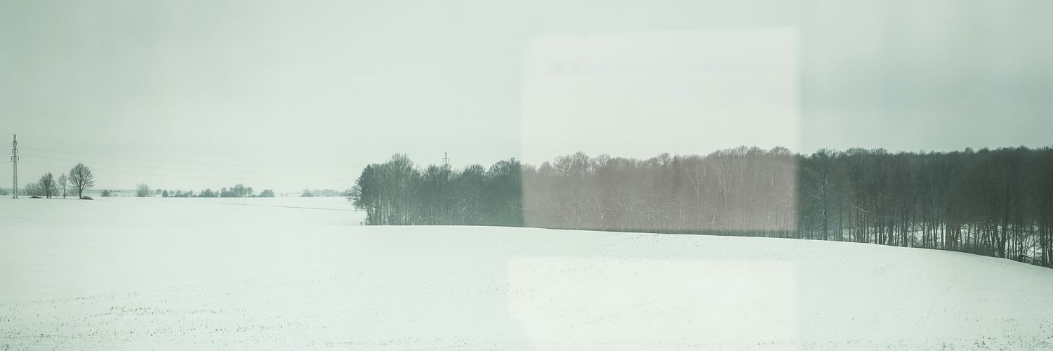 Susann Bargas Gomez banner
