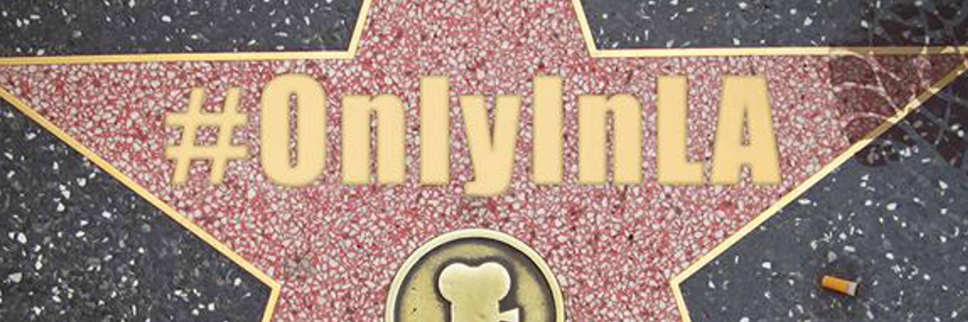 ChroniclesFilm's profile banner image