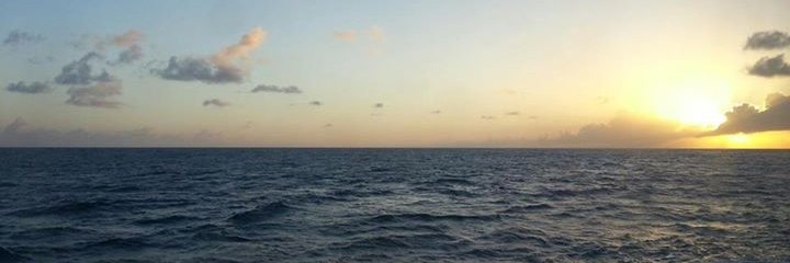 willian_fugise's profile banner image