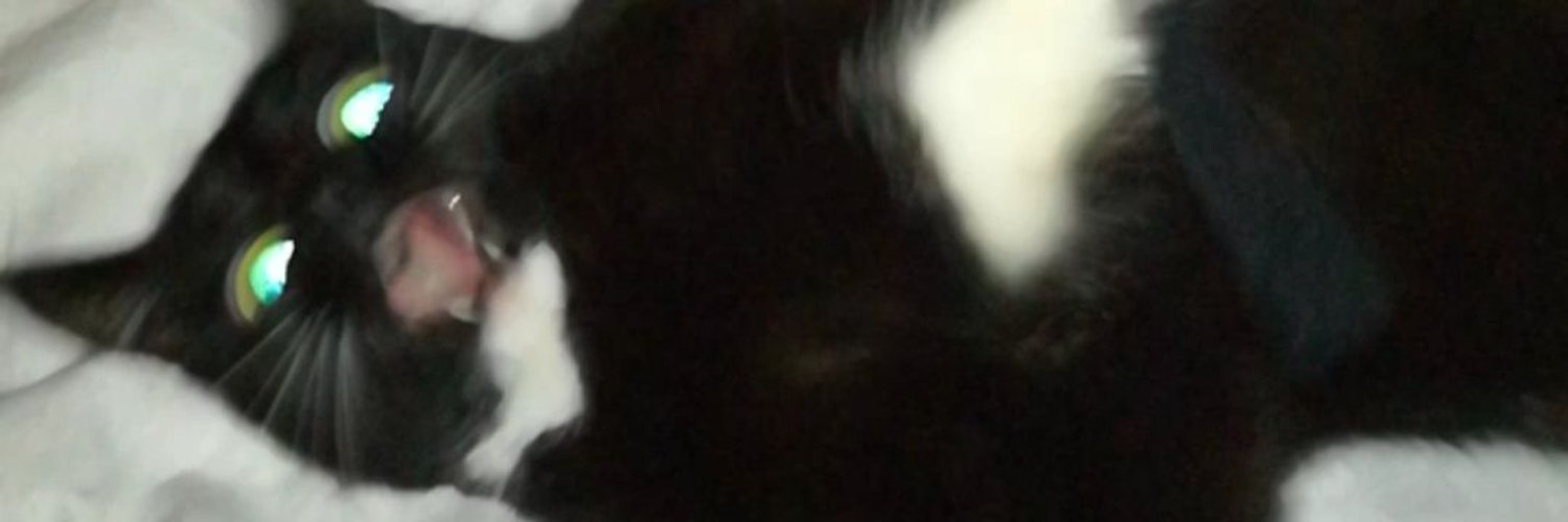 VoldeligUlv's profile banner image