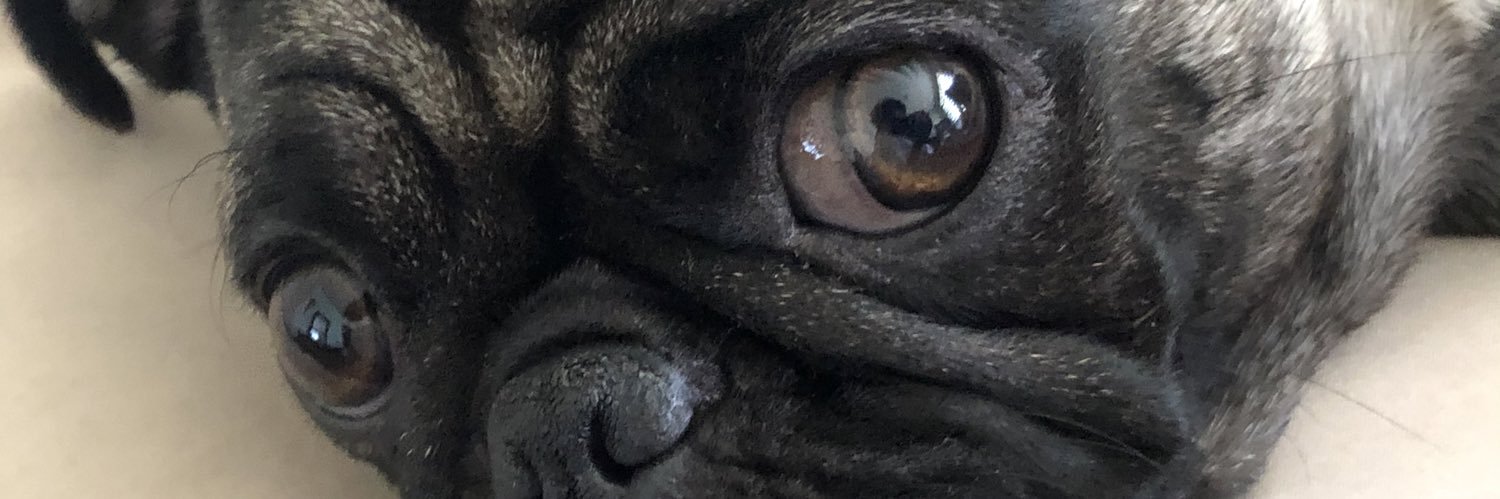 bennygdl's profile banner image