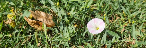 Myddna Profile Banner