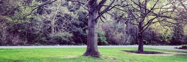 manwithvan3's profile banner image