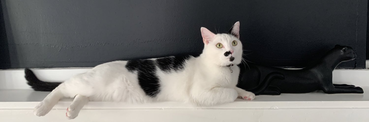 Kaley Johnson ☀️ banner